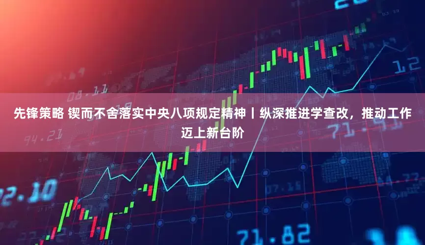 先锋策略 锲而不舍落实中央八项规定精神丨纵深推进学查改，推动工作迈上新台阶