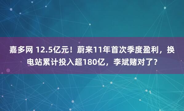 嘉多网 12.5亿元！蔚来11年首次季度盈利，换电站累计投入超180亿，李斌赌对了？
